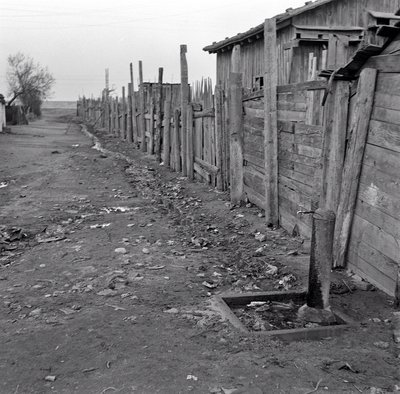 季度末 上海 作者 