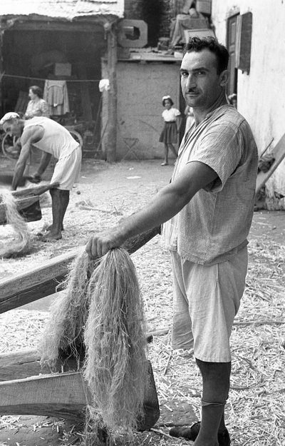 大麻工作，拉斐尔-科尔乔内 作者 