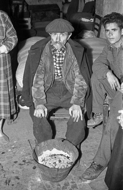 克罗托内调查 作者 