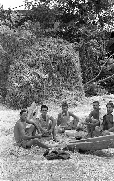 大麻加工、短点心 作者 