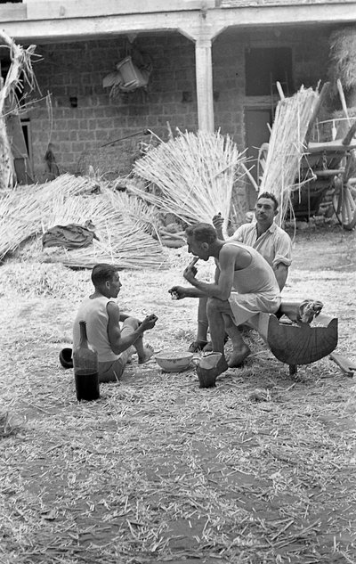 大麻加工，工作中的早餐 作者 