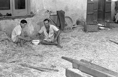 大麻加工，共享汤 作者 