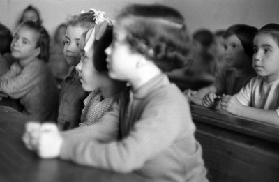 梅丽萨元素班 作者 