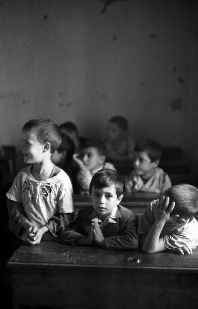 梅丽萨元素班 作者 