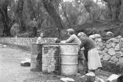 橄榄采摘者 作者 