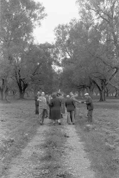 橄榄树林中的工会会员 作者 