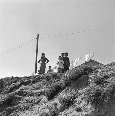 传播布卡托的妇女和儿童 作者 