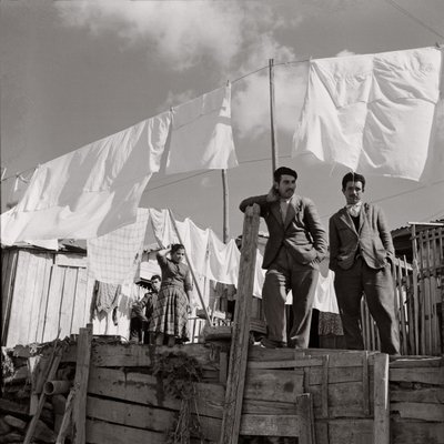 克罗托内工作区 作者 