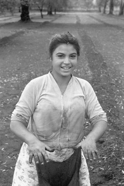 年轻的橄榄采摘者 作者 