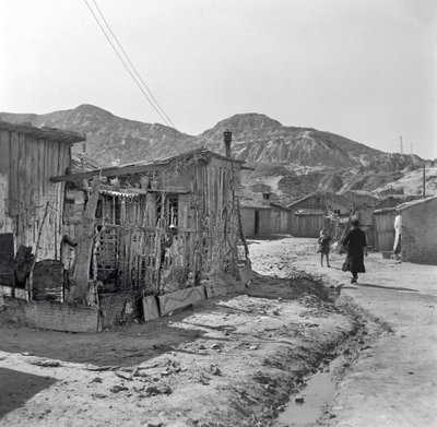 上海区"，克罗托内 作者 