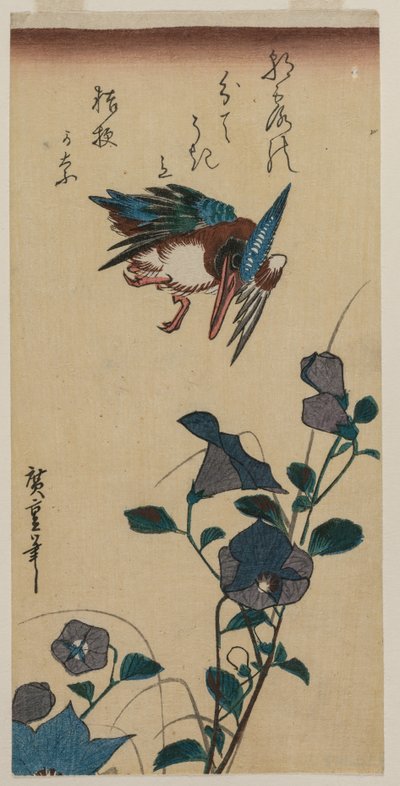 1830年代初或中期，翠鸟和中国风铃草。 作者 安藤广重