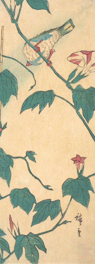 牵牛花和鸟，1840-50., 1840-50. 作者 安藤广重