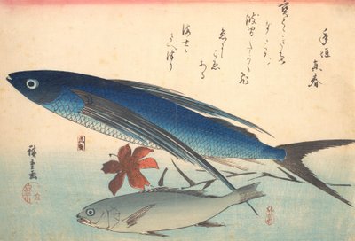 Tobiuo和Ishimochi鱼，来自Uozukushi Every Variety of Fish系列，1840年代。 作者 安藤广重