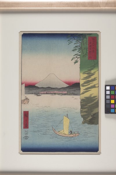 武藏省本牧的樱花（武藏本牧之花）（彩色木刻版画） 作者 安藤或歌川广重
