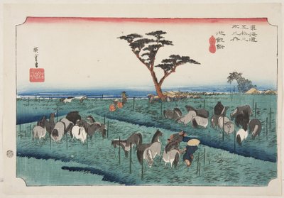 Chiry?: 初夏马展 (Chiry?, shuka uma ichi)（彩色木版画） 作者 安藤或歌川广重