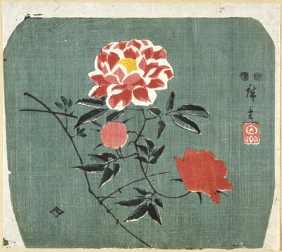 扇面印花：玫瑰 作者 安藤或歌川广重