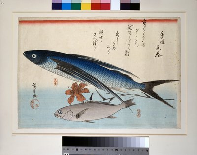 飞鱼、石首鱼和百合花 作者 安藤或歌川广重