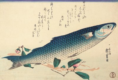 鱼，茶花和乌度 作者 安藤或歌川广重