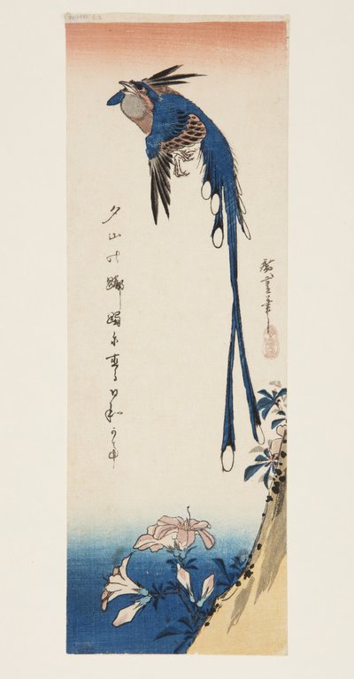 喜鹊和杜鹃花（彩色木版画） 作者 安藤或歌川广重