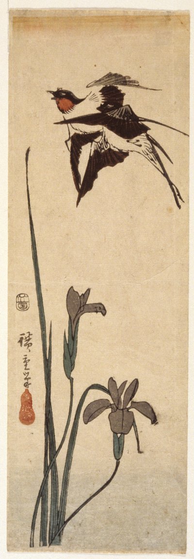 燕子和鸢尾花（彩色木刻版画） 作者 安藤或歌川广重