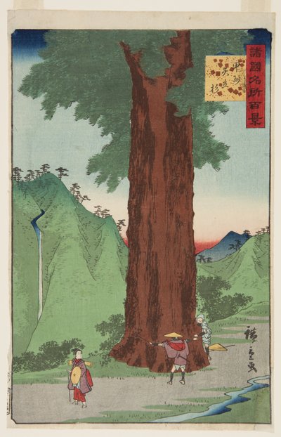 凯省的Yatate杉树(K?sh? Yatate sugi)（彩色木版画 作者 安藤或歌川广重