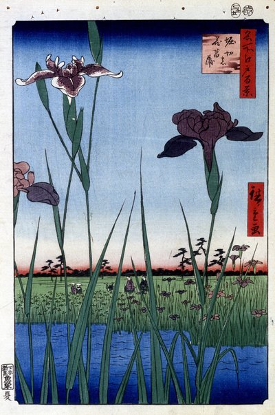 水鸢尾--宇川广重的日本版画。江户百景 作者 安藤或歌川广重