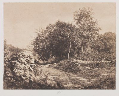 枫丹白露无标题的场景c。 1853年。 作者 安德烈·吉鲁（AndréGiroux）
