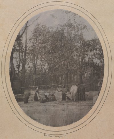 法国南部乡村风光c。 1853年。 作者 安德烈·阿道夫·尤金·迪斯德里