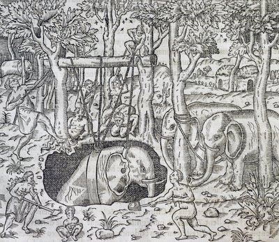 爪哇岛上的猎象，雕刻自《世界宇宙学》，作者安德烈-特维特（1504-1592），巴黎。 作者 安德烈·塞维特（Andre Thevet）