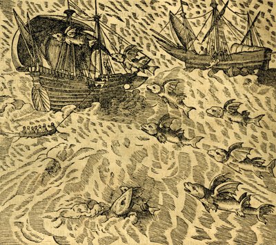 热带海中的飞鱼，来自《世界地图》的雕刻，作者是安德烈-特维特（1504-1592），巴黎。 作者 安德烈·塞维特（Andre Thevet）