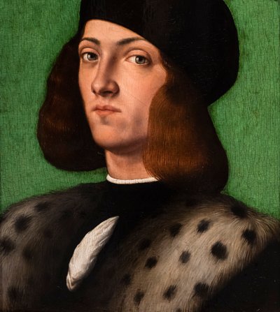 一个年轻人的肖像》，细节 作者 安德里亚·普雷维塔利（Andrea Previtali）