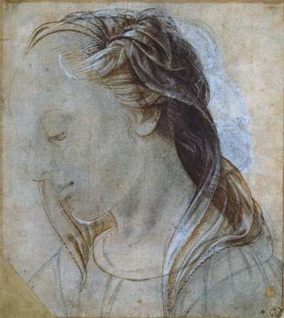女头（绘图） 作者 安德里亚·韦罗基基奥（Andrea Verrocchio）