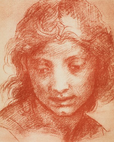 男孩头 作者 安德里亚·德尔·萨托（Andrea del Sarto）