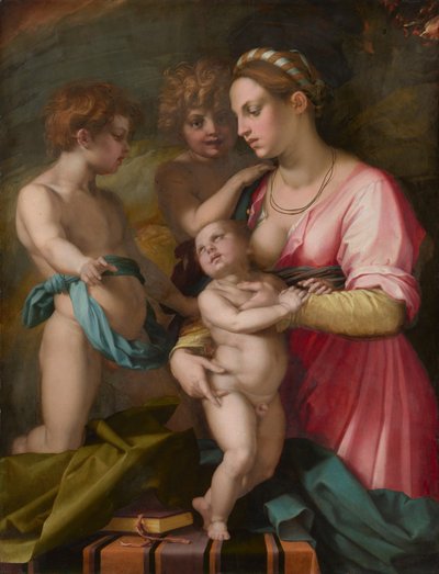 慈善机构 作者 Andrea del Sarto