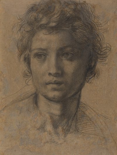 施洗者圣约翰的头像 作者 安德里亚·德尔·萨托（Andrea del Sarto）