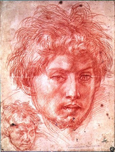 一个人的头（纸上红粉笔） 作者 安德里亚·德尔·萨托（Andrea del Sarto）