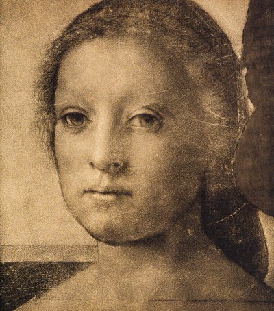 一名年轻女子的头，由Andrea del Sarto绘制。内阁图纸和版画，乌菲齐画廊，佛罗伦萨 作者 安德里亚·德尔·萨托（Andrea del Sarto）