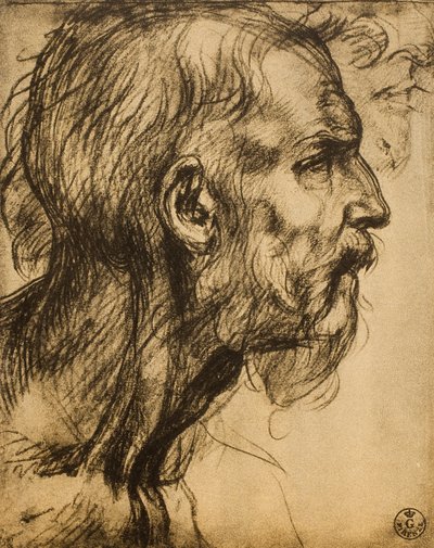 先知撒迦利亚的首领 作者 安德里亚·德尔·萨托（Andrea del Sarto）