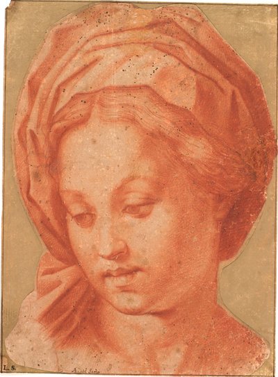 博尔热塞圣母院 作者 安德里亚·德尔·萨托（Andrea del Sarto）