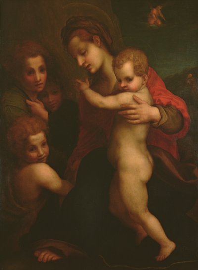 麦当娜和儿童，圣约翰和两个天使 作者 Andrea del Sarto