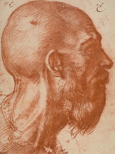 勒芒头部轮廓 作者 安德里亚·德尔·萨托（Andrea del Sarto）