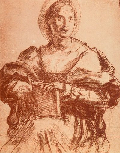 Lucrezia del Fede的肖像 作者 安德里亚·德尔·萨托（Andrea del Sarto）