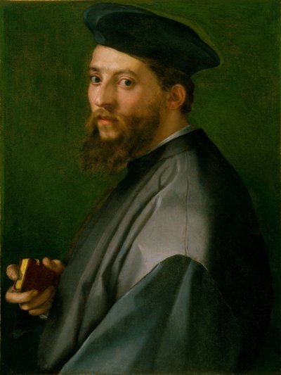 一个人的肖像 作者 安德里亚·德尔·萨托（Andrea del Sarto）