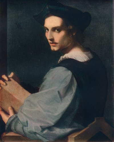 年轻人肖像，c1517，1911年 作者 安德里亚·德尔·萨托（Andrea del Sarto）