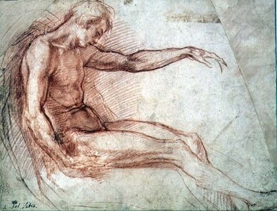 坐着的男性裸体（纸上红色粉笔画） 作者 安德里亚·德尔·萨托（Andrea del Sarto）