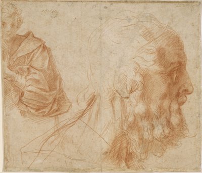 画有一个青年和一个向右看的老人（荷马？） 作者 安德里亚·德尔·萨托（Andrea del Sarto）