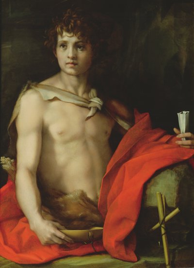 施洗者圣约翰，1522年（船上的蛋彩画） 作者 安德里亚·德尔·萨托（Andrea del Sarto）
