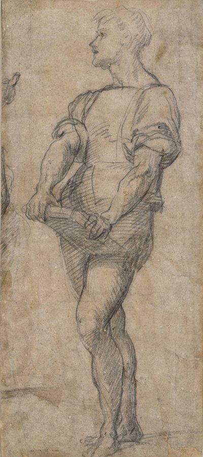 站立的青年，拿着一本书，约1515年 作者 安德里亚·德尔·萨托（Andrea del Sarto）