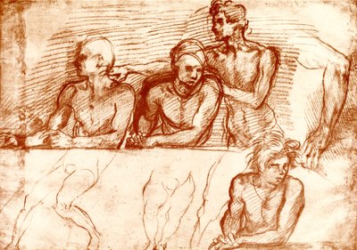研究最后的晚餐 作者 安德里亚·德尔·萨托（Andrea del Sarto）