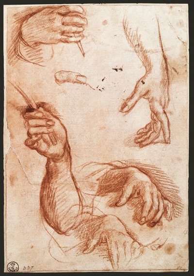 "手的研究 "图画炭笔（木炭 作者 安德里亚·德尔·萨托（Andrea del Sarto）